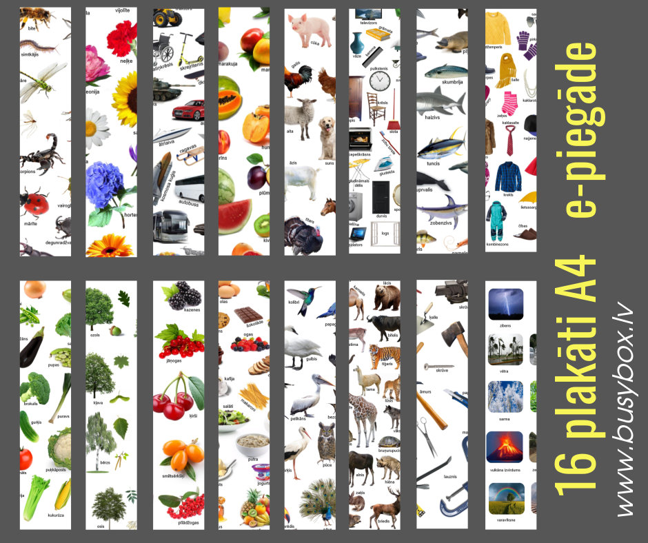 16 printējami plakāti (e-piegāde)